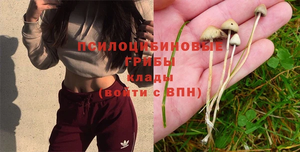 а пвп мука Саяногорск